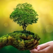 nature of beauty